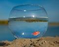 A round aquarium with a goldfish stands on the sand on the lake.
