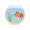 Round aquarium with goldfish. Vector illustration isolated.