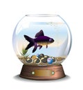 Round aquarium with one fish