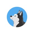 Round avatar with blue-eyed husky dog flat style, vector illustration Royalty Free Stock Photo
