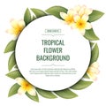 Round background with plumeria flowers. Tropical frangipani plant. Banner, poster, flyer, postcard. Summer illustration.