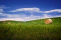 Round bails of hay in a farmers field Royalty Free Stock Photo