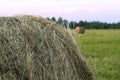 Round bale of hay on a beveled meadow closeup Royalty Free Stock Photo