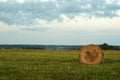 Round bale of hay on a beveled meadow Royalty Free Stock Photo