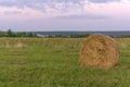 Round bale of hay on a beveled meadow Royalty Free Stock Photo