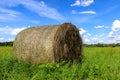 Round bale of hay on a green summer meadow Royalty Free Stock Photo