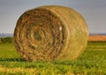 Round bale of hay in Nebraska