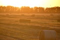 Round bale pressed dry wheat straw on field after harvest summer autumn evening Royalty Free Stock Photo