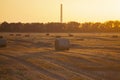 Round bale pressed dry wheat straw on field after harvest summer autumn evening Royalty Free Stock Photo