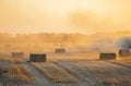 Round bale pressed dry wheat straw on field after harvest summer autumn evening Royalty Free Stock Photo