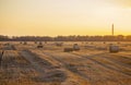 Round bale pressed dry wheat straw on field after harvest summer autumn evening Royalty Free Stock Photo