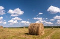 Round bale of straw in the meadow. Agriculture field with hay bales. Rural nature in the farm land with straw on the meadow. Wheat