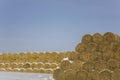 Round bales of dry yellow hay lie in rows under the snow against a clean blue sky Royalty Free Stock Photo