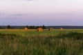 Round bales of hay on a beveled meadow Royalty Free Stock Photo