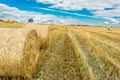 Round bales of hay on farmland with blue cloudy sky Royalty Free Stock Photo