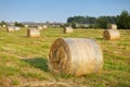 Round bales of hay in the field Royalty Free Stock Photo