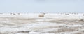 Snow covered round bale of hay in a farmers field