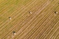 Round bales of hay in the field, forage harvesting for the winter, agricultural fields and their purpose Royalty Free Stock Photo