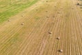 Round bales of hay in the field, forage harvesting for the winter, agricultural fields and their purpose Royalty Free Stock Photo