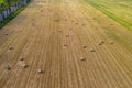 Round bales of hay in the field, forage harvesting for the winter, agricultural fields and their purpose Royalty Free Stock Photo