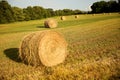 Round bales of hay in a field