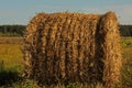 Round bales of hay in the field Royalty Free Stock Photo