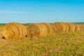Round bales of hay in the field. Straw on the meadow. Beautiful landscape Royalty Free Stock Photo