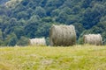 Round Bales of Hay Royalty Free Stock Photo