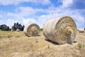Round Bales of Hay Royalty Free Stock Photo