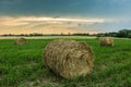 Round hay bales in a green meadow at sunset Royalty Free Stock Photo