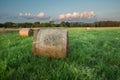 Round bales of hay lying on a green meadow Royalty Free Stock Photo