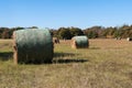 Round bales of hay in a meadow on a sunny afternoon Royalty Free Stock Photo