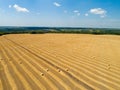 Round bales are bales of hay, straw or forage rolled in the shape of a large cylinder. When the legumes grow to a Royalty Free Stock Photo