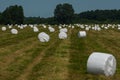 Round bales on a meadow Royalty Free Stock Photo