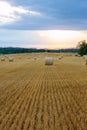 Round bales of straw on farmland a cloudy sky. Mowed field after harvesting wheat Royalty Free Stock Photo