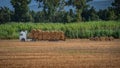 Round bales of straw in the field Royalty Free Stock Photo