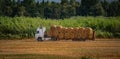 Round bales of straw in the field Royalty Free Stock Photo