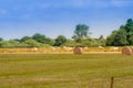 Round bales of straw lying in the field just after pressing