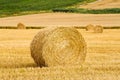 Round bales Royalty Free Stock Photo