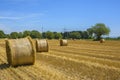 Round bales of straw