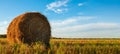 Round bales of straw rolled up on field against blue sky, autumnal harvest scenery. Royalty Free Stock Photo