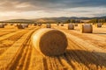 Round bales of straw rolled up on field against blue sky, autumnal harvest scenery. Generative AI