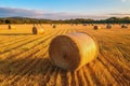 Round bales of straw rolled up on field against blue sky, autumnal harvest scenery. Generative AI