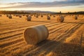 Round bales of straw rolled up on field against blue sky, autumnal harvest scenery. Generative AI