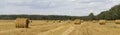 Round bales of straw rolled up on field against blue sky, autumnal harvest scenery, Panorama, banne Royalty Free Stock Photo