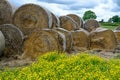 Round Bales of Straw Royalty Free Stock Photo