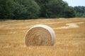 Round Bales Of Wheat Straw, Wheat Harvest, Farm Field Stuble
