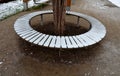 round bench made of wood encloses a tree, sitting around with Royalty Free Stock Photo