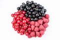 Round berries composition currant and raspberry Royalty Free Stock Photo