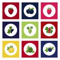 Round Berry Icons on Colorful Background